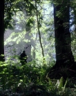 Filename=Leave_No_Trace_mp44499.jpg
Filesize=1628KiB
Dimensions=1920x1040
Date added=Jan 15, 2020 Leave_No_Trace_mp44499.jpg