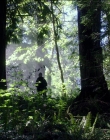 Filename=Leave_No_Trace_mp44501.jpg
Filesize=1622KiB
Dimensions=1920x1040
Date added=Jan 15, 2020 Leave_No_Trace_mp44501.jpg