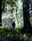 Filename=Leave_No_Trace_mp44502.jpg
Filesize=1616KiB
Dimensions=1920x1040
Date added=Jan 15, 2020 Leave_No_Trace_mp44502.jpg