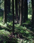 Filename=Leave_No_Trace_mp44522.jpg
Filesize=1531KiB
Dimensions=1920x1040
Date added=Jan 15, 2020 Leave_No_Trace_mp44522.jpg