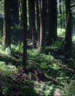Filename=Leave_No_Trace_mp44523.jpg
Filesize=1501KiB
Dimensions=1920x1040
Date added=Jan 15, 2020 Leave_No_Trace_mp44523.jpg