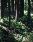 Filename=Leave_No_Trace_mp44524.jpg
Filesize=1412KiB
Dimensions=1920x1040
Date added=Jan 15, 2020 Leave_No_Trace_mp44524.jpg