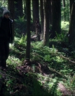 Filename=Leave_No_Trace_mp44525.jpg
Filesize=1463KiB
Dimensions=1920x1040
Date added=Jan 15, 2020 Leave_No_Trace_mp44525.jpg