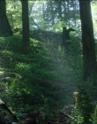 Filename=Leave_No_Trace_mp44564.jpg
Filesize=1365KiB
Dimensions=1920x1040
Date added=Jan 15, 2020 Leave_No_Trace_mp44564.jpg