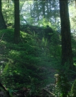 Leave_No_Trace_mp44565.jpg