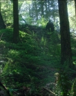 Leave_No_Trace_mp44566.jpg