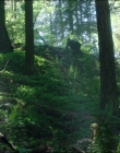 Filename=Leave_No_Trace_mp44567.jpg
Filesize=1367KiB
Dimensions=1920x1040
Date added=Jan 15, 2020 Leave_No_Trace_mp44567.jpg