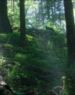 Leave_No_Trace_mp44568.jpg