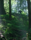 Leave_No_Trace_mp44570.jpg