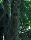 Filename=Leave_No_Trace_mp44581.jpg
Filesize=1103KiB
Dimensions=1920x1040
Date added=Jan 15, 2020 Leave_No_Trace_mp44581.jpg