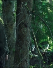 Filename=Leave_No_Trace_mp44583.jpg
Filesize=1199KiB
Dimensions=1920x1040
Date added=Jan 15, 2020 Leave_No_Trace_mp44583.jpg