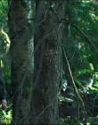 Filename=Leave_No_Trace_mp44584.jpg
Filesize=1213KiB
Dimensions=1920x1040
Date added=Jan 15, 2020 Leave_No_Trace_mp44584.jpg