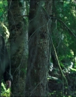 Filename=Leave_No_Trace_mp44585.jpg
Filesize=1235KiB
Dimensions=1920x1040
Date added=Jan 15, 2020 Leave_No_Trace_mp44585.jpg