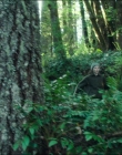 Filename=Leave_No_Trace_mp44599.jpg
Filesize=1439KiB
Dimensions=1920x1040
Date added=Jan 15, 2020 Leave_No_Trace_mp44599.jpg