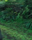 Filename=Leave_No_Trace_mp44602.jpg
Filesize=1014KiB
Dimensions=1920x1040
Date added=Jan 15, 2020 Leave_No_Trace_mp44602.jpg