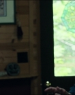 Filename=Leave_No_Trace_mp44685.jpg
Filesize=788KiB
Dimensions=1920x1040
Date added=Jan 15, 2020 Leave_No_Trace_mp44685.jpg