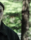 Leave_No_Trace_mp44815.jpg