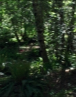 Filename=Leave_No_Trace_mp44971.jpg
Filesize=1171KiB
Dimensions=1920x1040
Date added=Jan 15, 2020 Leave_No_Trace_mp44971.jpg