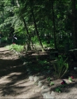 Leave_No_Trace_mp45024.jpg