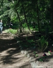 Leave_No_Trace_mp45027.jpg