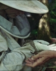 Leave_No_Trace_mp45114.jpg