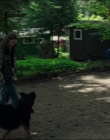 Leave_No_Trace_mp45218.jpg