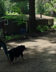 Filename=Leave_No_Trace_mp45219.jpg
Filesize=1160KiB
Dimensions=1920x1040
Date added=Jan 15, 2020 Leave_No_Trace_mp45219.jpg