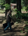Filename=Leave_No_Trace_mp45222.jpg
Filesize=1261KiB
Dimensions=1920x1040
Date added=Jan 15, 2020 Leave_No_Trace_mp45222.jpg