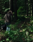 Filename=Leave_No_Trace_mp45224.jpg
Filesize=1254KiB
Dimensions=1920x1040
Date added=Jan 15, 2020 Leave_No_Trace_mp45224.jpg