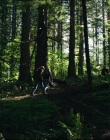 Leave_No_Trace_mp45409.jpg