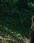 Leave_No_Trace_mp45422.jpg