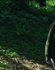 Leave_No_Trace_mp45424.jpg