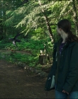 Leave_No_Trace_mp45445.jpg