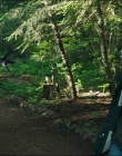 Leave_No_Trace_mp45446.jpg