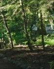 Leave_No_Trace_mp45453.jpg