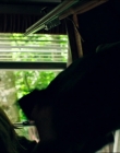 Filename=Leave_No_Trace_mp45749.jpg
Filesize=605KiB
Dimensions=1920x1040
Date added=Jan 15, 2020 Leave_No_Trace_mp45749.jpg