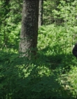 Filename=Leave_No_Trace_mp45808.jpg
Filesize=1077KiB
Dimensions=1920x1040
Date added=Jan 15, 2020 Leave_No_Trace_mp45808.jpg