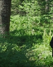 Leave_No_Trace_mp45811.jpg
