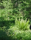 Leave_No_Trace_mp45812.jpg