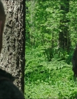 Leave_No_Trace_mp45847.jpg