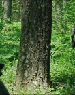 Filename=Leave_No_Trace_mp46004.jpg
Filesize=1428KiB
Dimensions=1920x1040
Date added=Jan 15, 2020 Leave_No_Trace_mp46004.jpg