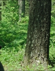 Filename=Leave_No_Trace_mp46006.jpg
Filesize=1413KiB
Dimensions=1920x1040
Date added=Jan 15, 2020 Leave_No_Trace_mp46006.jpg