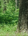 Filename=Leave_No_Trace_mp46007.jpg
Filesize=1462KiB
Dimensions=1920x1040
Date added=Jan 15, 2020 Leave_No_Trace_mp46007.jpg