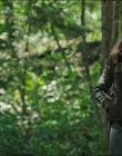 Filename=Leave_No_Trace_mp46046.jpg
Filesize=1076KiB
Dimensions=1920x1040
Date added=Jan 15, 2020 Leave_No_Trace_mp46046.jpg