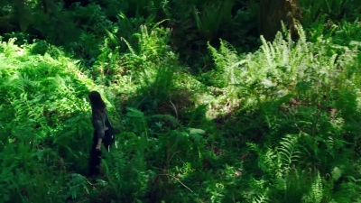 LEAVE_NO_TRACE_Featurette_mp41815.jpg