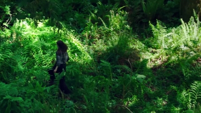 LEAVE_NO_TRACE_Featurette_mp41816.jpg