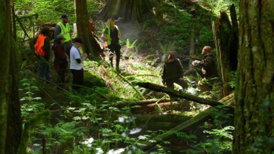 LEAVE_NO_TRACE_Featurette_mp41827.jpg