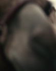 Filename=The_King_mp42473.jpg
Filesize=471KiB
Dimensions=1920x800
Date added=Feb 20, 2020 The_King_mp42473.jpg
