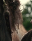 Filename=The_King_mp42476.jpg
Filesize=647KiB
Dimensions=1920x800
Date added=Feb 20, 2020 The_King_mp42476.jpg