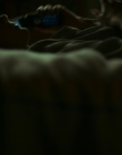 Filename=Lost_Girls_mp42912.jpg
Filesize=317KiB
Dimensions=1920x960
Date added=Mar 14, 2020 Lost_Girls_mp42912.jpg